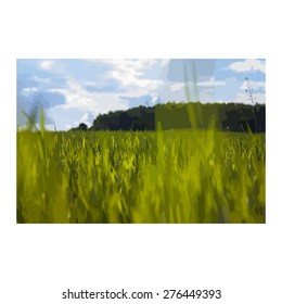 Vector. Print. Backgrounds. Picture. Postcard. Sprouts of wheat against the sky and forest plantations.