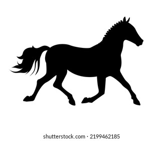 Vector print black silhouette of a horse with a braided mane trotting on the white background