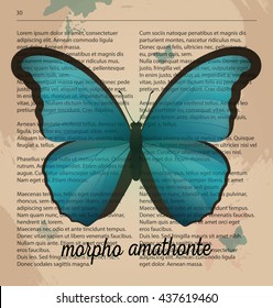 Vector print blue Butterfly Morpho amathonte. Printable art drawing on old dictionary page. Book inspirational illustration wall paintings. Vintage print for decoration. Template design lorem ipsum.