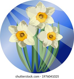 Vector print, a bouquet of daffodils on a blue background in a circle