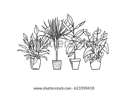 Vector print with hand drawn houseplants - flamingo lily, dracena, peace lily, rubber plant . Beautiful floral design elements.
