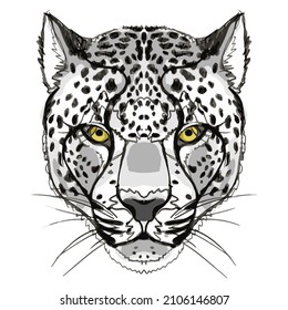 Impresión vectorial con la imagen del hocico de un leopardo de nieve en forma de dibujo a mano. 