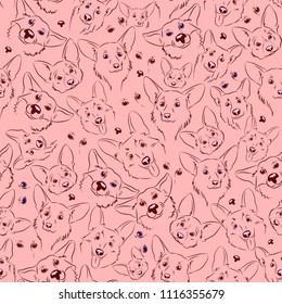 Vector print on a pink background muzzles of dogs breed crust penbrook. Sketch of Pets.