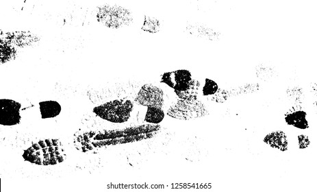 Vector Print Texture. footprints human shoes silhouette in snow . Design Element . Traces of Boot . Mud splash grunge texture