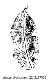 Vector printed silhouette of leaf. Botanical element, isolated on white background.