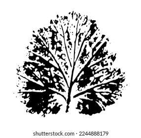 Vector printed silhouette of leaf. Botanical element, isolated on white background.