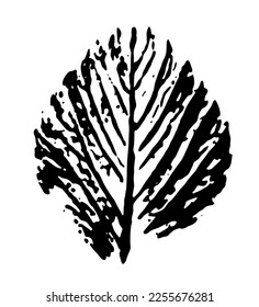 Vector printed silhouette of leaf. Botanical element, isolated on white background.