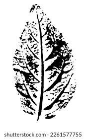 Silueta de hoja impresa con vectores. Elemento botánico, aislado sobre fondo blanco.