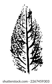 Silueta de hoja impresa con vectores. Elemento botánico, aislado sobre fondo blanco.