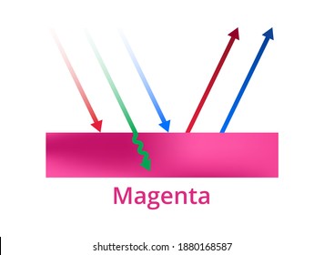 Vector printing illustration of light reflection, magenta color, magenta ink, or surface. red and blue colors are reflected, green color is absorbed. CMYK color theory explanation. Isolated on white.