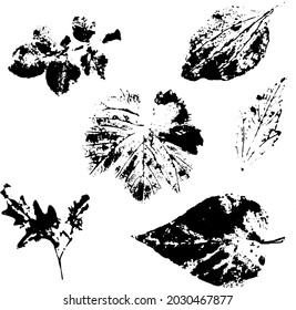 Vektorgrafik von Blättern verschiedener Formen. botanischer Monotyp. florale schwarze Silhouette auf weißem Hintergrund . schnitzte Traubenblätter , Zweige . Blindfarbstoff für Design, Textilien, Druckerzeugnisse