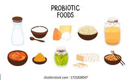 Vector probiotic foods. Best sources of probiotics. Beneficial bacteria improve health. Isolated elements is for label, brochure, menu, advertising, article about diets, healthy and proper nutrition