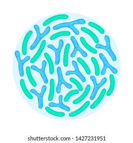 Vector probiotics in circular shape. Bifidobacterium, lactobacillus. Lactic acid bacterium. Medicine or dietary supplement. Brochure, label, cover, poster, banner, package, advertising, presentation