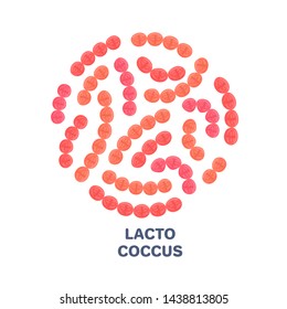 Vector probiotics in circular shape. Lactococcus. Microbiome. Medicine or dietary supplement. Brochure, flyer, label, cover, poster, banner, package, advertising, presentation. Red colors. Eps10