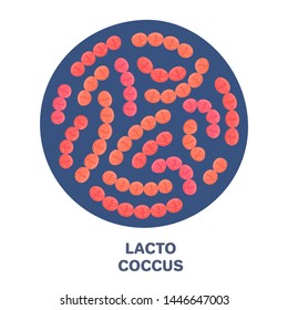 Vector probiotics in circular shape. Lactococcus. Microbiome. Medicine or dietary supplement. Brochure, flyer, label, cover, poster, banner, package, advertising, presentation. Red colors. Eps10