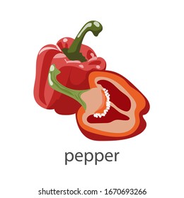 Vector product icon set of chili pepper. The product is a vegetable sharp red chili peppers. Illustration of food
