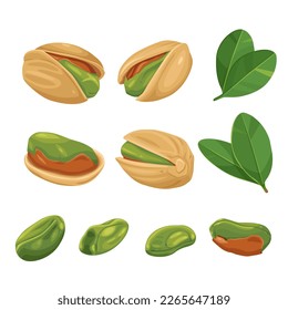 Vector product walnut pistachio icon. Pistachio nuts in the shell and with leaves. Illustration of food pistachio in flat minimalism style.Vector eps 10. perfect for design elements	