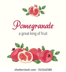 Vector promo banner with pomegranate