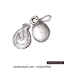 Vector Provolone sketches. Hand drawn Italian cows milk cheese illustration. Vintage traditional food drawing on white background.