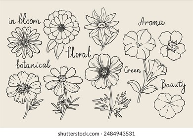 Conjunto de flores de verano de Vector con contorno de ilustración en blanco y negro con letras. Conjunto de flores de verano para colorear libro, postal, invitación, tarjeta de felicitación, diseño de paquete, textil, tela, etiqueta.