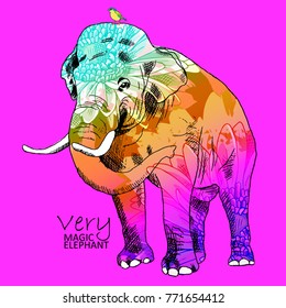 Vector psychedelic elephant. Elephant with flowers ad bird 5