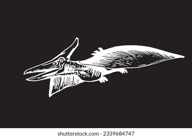 Vector pterodactyl,graphical illustration of flying  dinosaur  on black background