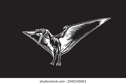 Vector pterodactyl,graphical illustration of flying  dinosaur isolated on black background