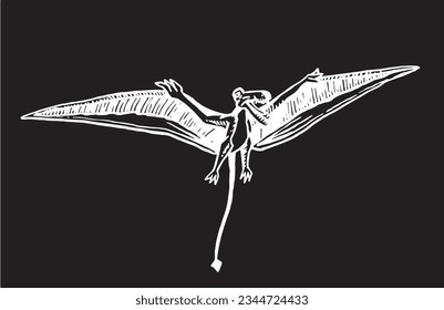 Vector pterodactyl,graphical illustration of flying  dinosaur on black background