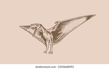 Vector pterodactyl,graphical vintage illustration of flying  dinosaur