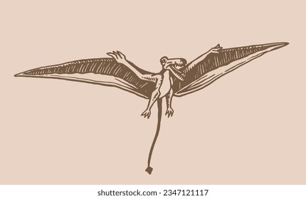 Vector pterodactyl,graphical vintage illustration of flying  dinosaur