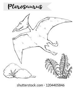 Vector Pterosaur with plant and stone over white.Jurassic Wildlife.Wild animals dinosaurus.Animal character.Wild creatures of the Jurassic period.Black dinosaurus Silhouette