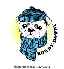Vector pug in a blue hat and scarf. Pug rowdy dowdy