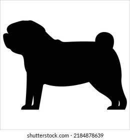 Vector Pug dog breed silhouette isolated on white background