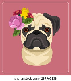 Vector pug dog portrait flat illustration