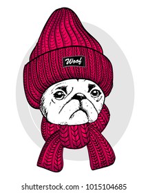 Vector pug with red knitted hat and scarf. Hand drawn illustration of dressed dog.