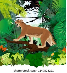 vector puma cougar (Puma concolor) or mountain lion and Crimson-rumped toucanet in jungle rainforest