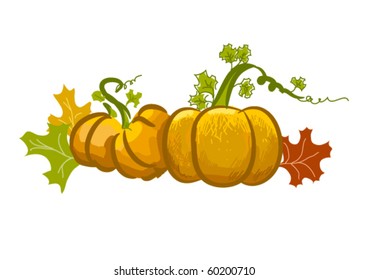 vector pumpkin