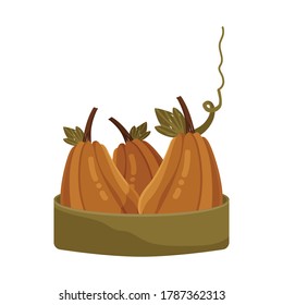 Vector pumpkin. Autumn design for greeting cards, invitation card, Halloween composition