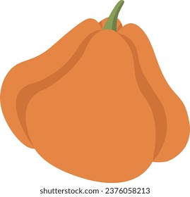 vector pumpkin autumn harvest season