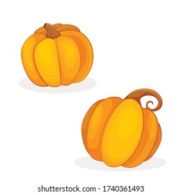 Vector pumpkin. Autumn set of hand drawn halloween elements. Garden illustration. 