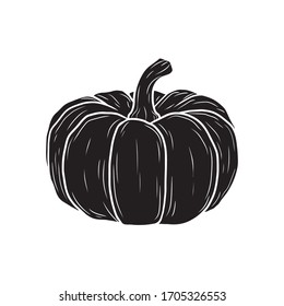 Vector pumpkin in black and white. Food sketch illustration for print, web, mobile and infographics isolated on white background.