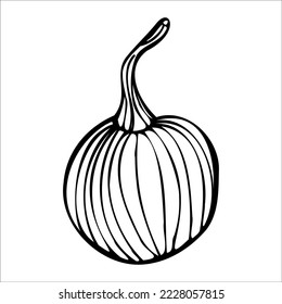 Calabaza vectora, icono blanco y negro.