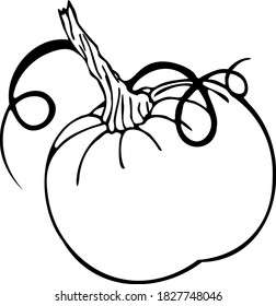 calabaza vectorial. arte de línea blanca y negra. imagen de calabaza en blanco y negro. Ilustración vectorial de calabaza blanca y negra para banner, tarjeta de invitación y para otras ideas.