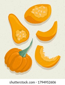 Vector pumpkin cartoon illustration with textures. Healthy organic natural food and pumpkin slices with seeds for autumn farm market design.