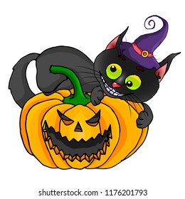 Vector pumpkin for Halloween. On the pumpkin sits a black cat in a hat.