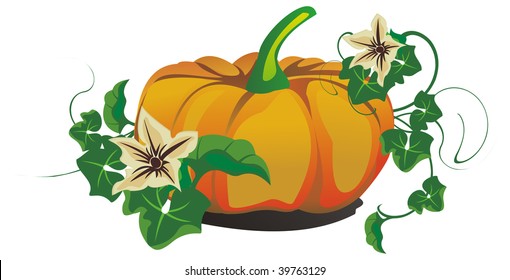 Vector pumpkin for halloween or thanksgiving day design