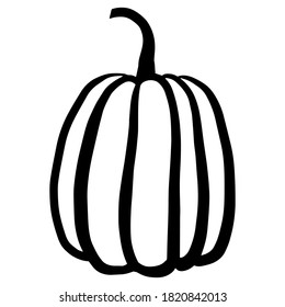 Vector pumpkin. Hand drawn illustration for autumn decorative design, halloween invitation. Black object on white background.