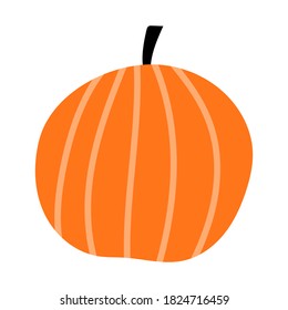Vector pumpkin. Hand drawn illustration. Autumn collection.