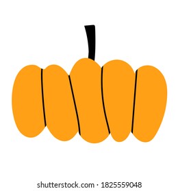 Vector pumpkin. Hand drawn illustration. Autumn collection.