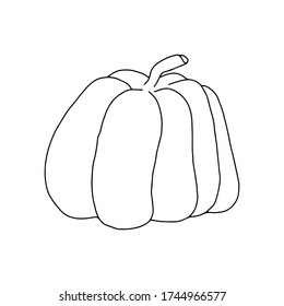 Vector pumpkin hand drawn outline doodle illustration isolated image, food sketch in simple hand drawn doodle style clipart for Halloween, autumn holidays design
